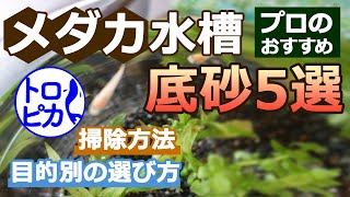 メダカ水槽のおすすめ底砂5選！底砂は目的別に選ぼう！掃除方法も解説！ [upl. by Lindley51]