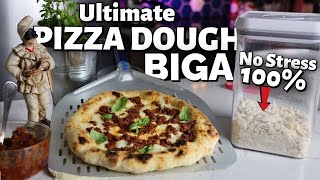 How to Make Perfect Biga No Stress Pizza Dough at Home 100 [upl. by Bracci236]