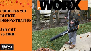 BEST Budget Battery Leaf Blower 2021  WORX ELECTRIC TURBINE [upl. by Neyu]