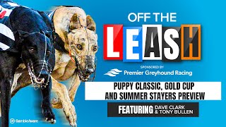 Puppy Classic Gold Cup and Summer Stayers Preview  Off The Leash  Greyhound Racing Tips [upl. by Cline]