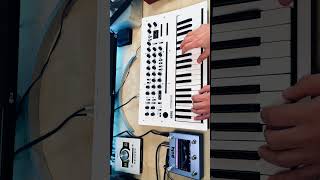 Korg Minilogue XD amp Poly Effects Beebo korg synth shorts [upl. by Friend]