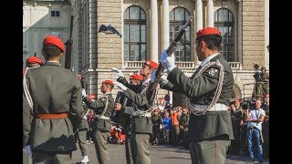 Nationalfeiertag 2019 Showexerzieren 1GdKp [upl. by Yeltrab]