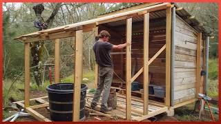 Man Builds Amazing DIY Wood Cabin in the Forest Start to Finish  by mattjacobs1 [upl. by Inaffit]