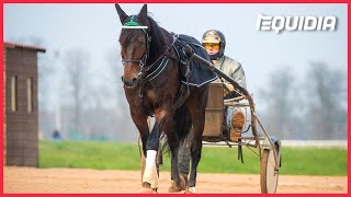 HUSSARD DU LANDRET PRÉSENT DANS LE PRIX DE BRETAGNE  AMÉRIQUE RACES PMU Q1 [upl. by Rochkind]