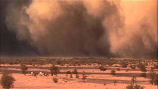 Nat Geo Wild  Sandstorm [upl. by Atsocal]