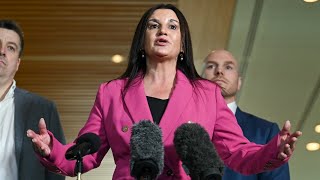 ‘Pay for their sins’ Jacqui Lambie calls for antiIsrael vandals to be charged [upl. by Aniretak]