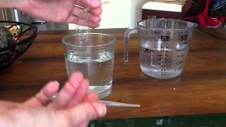 How to Set Up Dialysis Tubing for Your Osmosis Lab [upl. by Christean]