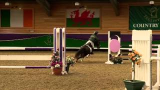 Showjumping  Home Pony Part 2  2012 [upl. by Hoeve]