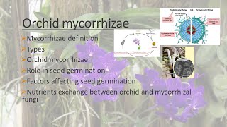 Mycorrhizal association with plants Orchid mycorrhizae  AZ Concepts guide [upl. by Libby966]