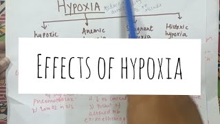 Effects of hypoxia [upl. by Lilybelle]