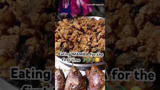 Unbelievable eating fried MAMBA 🐊🐊 for the first time in Uganda deliciousfood [upl. by Nevar]