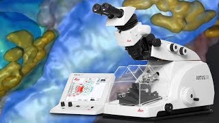 Fast Precise Serial Sectioning for Array Tomography the new ARTOS 3D Ultramicrotome [upl. by Lot]