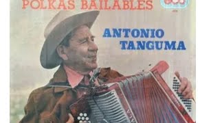 Antonio Tanguma  Cholita [upl. by Nwahsem]