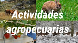 Actividades agropecuarias [upl. by Wynne314]