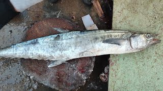 surmai king mackerel fish cutting video karachi fisheries [upl. by Scever631]