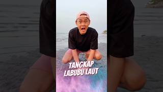 Tangkap Labubu Laut 🏝️ [upl. by Eener]