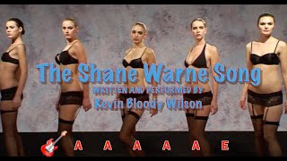 KEVIN BLOODY WILSON  The Shane Warne Song [upl. by Ahsias]