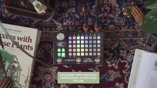 Dream Pedal Ep 1 quotThe Houseplantquot with the Empress ZOIA [upl. by Anual]