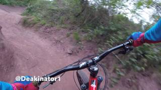 Black Mountain Cycle Centre Blue Run MTB Trail POV [upl. by Benedicta]