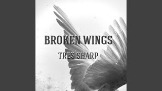 Broken Wings [upl. by Adlesirk602]