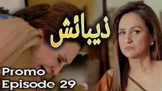 Zebaish episode 29 promo  teaser  review  29ذیبائش [upl. by Ynnavoeg440]