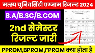 RRBMU UG 1st Year 2nd Semester Result 2024 Declare  BA BSc 2nd Semester में PPROM BPROM FPROM [upl. by Enelehcim]