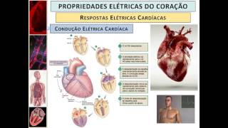 Eletrofisiologia Celular Cardíaca  Geração e Condução dos Potenciais de Ação no Coração [upl. by Ahsimat468]