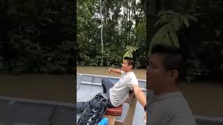 Amazon Lodge experience reels relaxing paisajes shortvideos videoshort amazon ecuador [upl. by Urien]