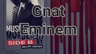 Eminem Gnat [upl. by Reave513]