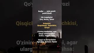 Burjlar  juda yaxshi yashirishadi shortvideo automobile psykotiq love psixolog weather [upl. by Rena]