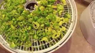 Best Affordable Food Dehydrator amp How to Dry Peppers [upl. by Aivatnahs]