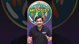 Mitosis Kya hota hai Mitosis in Detail neet neetbiology neetexam mitosis [upl. by Einyaj173]