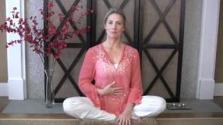 Breath Of Fire Kundalini Yoga Basics [upl. by Obrien]