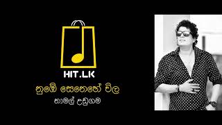 Nube Senehe Wila I නුඹේ සෙනෙහෙවිල I Namal Udugama I Original Song [upl. by Grefer]