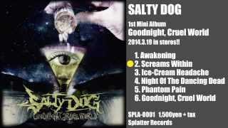 【SALTY DOG】2014319 Release 「Goodnight Cruel World」 Trailer [upl. by Navetse]