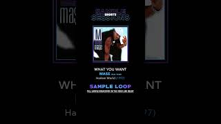 What You Want  Mae Original Sample Loop [upl. by Frasco]