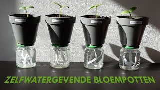 DIY  Zelfwatergevende bloempotten [upl. by Hoseia]