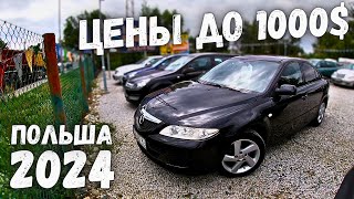 ПАДЕНИЕ ЦЕН НА АВТОРЫНКЕ ДЕШЕВЫХ МАШИН В ПОЛЬШЕ   MILLIONCAR 2024  4K [upl. by Sivam232]