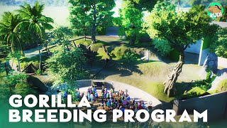 Gorilla Breeding Program  Planet Zoo Lets Play Franchise Mode [upl. by Gotthelf34]