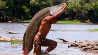 Peces del Amazonas del Beni [upl. by Jeannette]