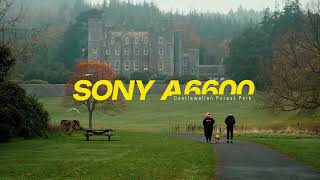 Sony a6600 Castlewellan Forest Park  Cinematic [upl. by Lerrej]