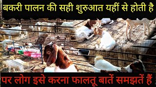 Goat farming business plan  Goat farming Knowledge  Goat farming [upl. by Enived]