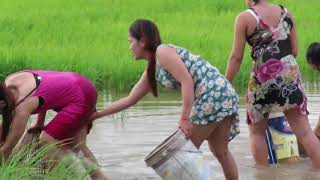 Beautiful Girl Fishing Amazing Fishing at Battambang How To Catch Fish By Hand 57 [upl. by Amanda25]