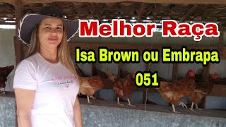 POR QUE PREFIRO ISA BROWN  ou a Embrapa 051 galinhas precisa de galo pra 🥚 pathy vida na roça [upl. by Womack]