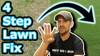 Beginner Lawn Care Tips  How To Improve Your Lawn in 4 Easy Steps  Lawn Motivation [upl. by Nomolas]