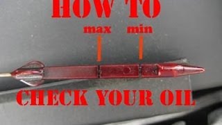 How To Check Your Oil Level on a 2003 BMW 330i [upl. by Nollid]