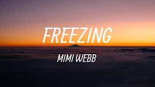 Freezing  Mimi Webb Lyrics [upl. by Oiragelo]