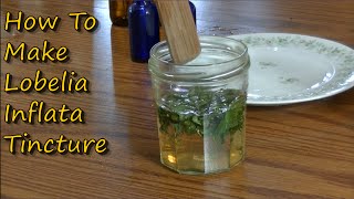 How to make Lobelia Tincture [upl. by Nappy]