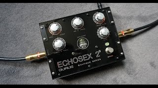 Gurus Amps  Echosex 2  BINSON ECHOREC TUBE DELAY PEDAL [upl. by Buiron]