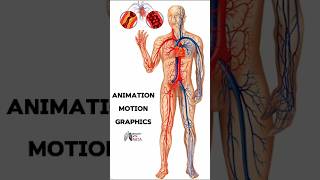 Animation Motion Graphics medical animation 3d short [upl. by Enahs]